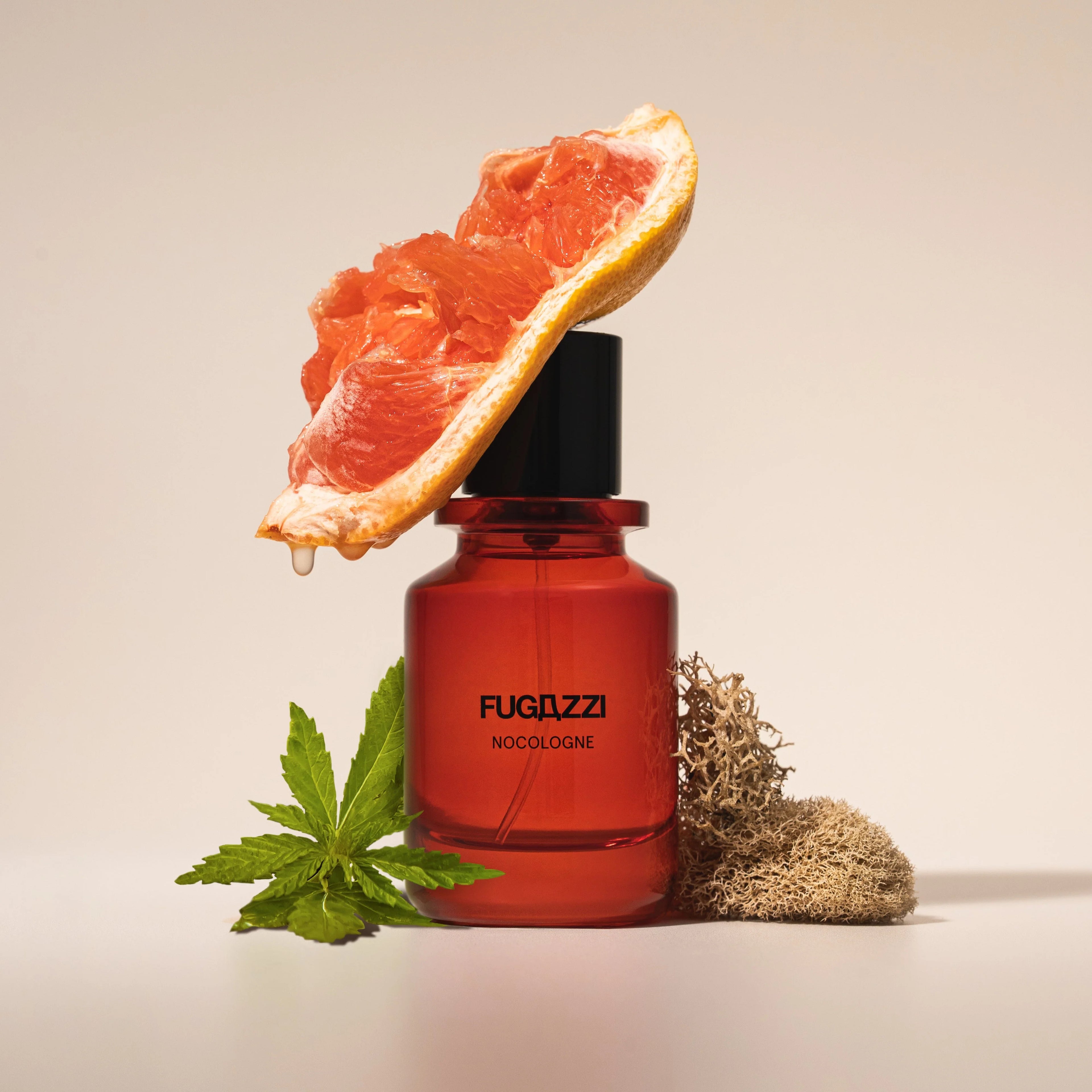 Fugazzi Nocologne Extrait De Parfum 100 ML