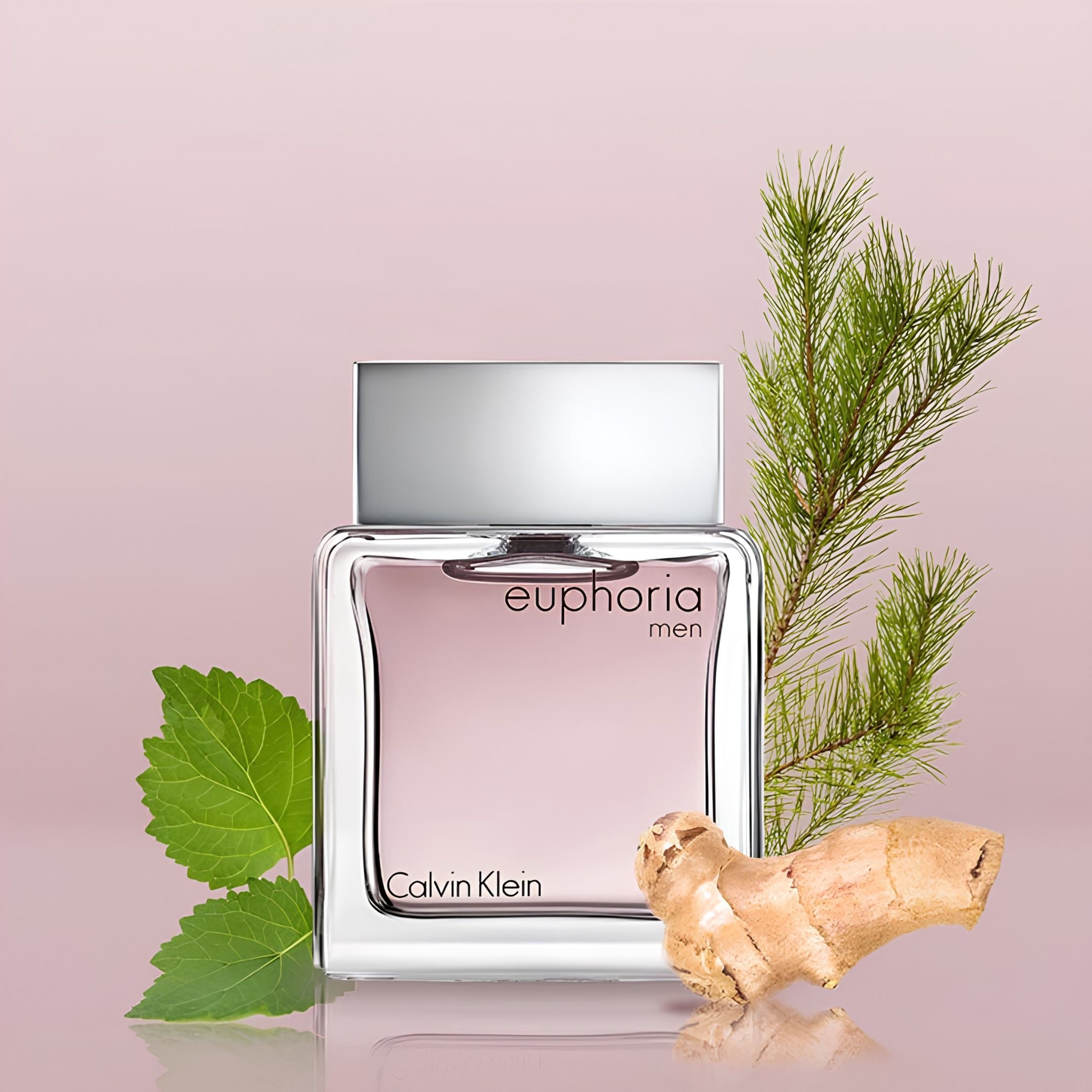 Calvin Klein Euphoria EDT 100 ML Men