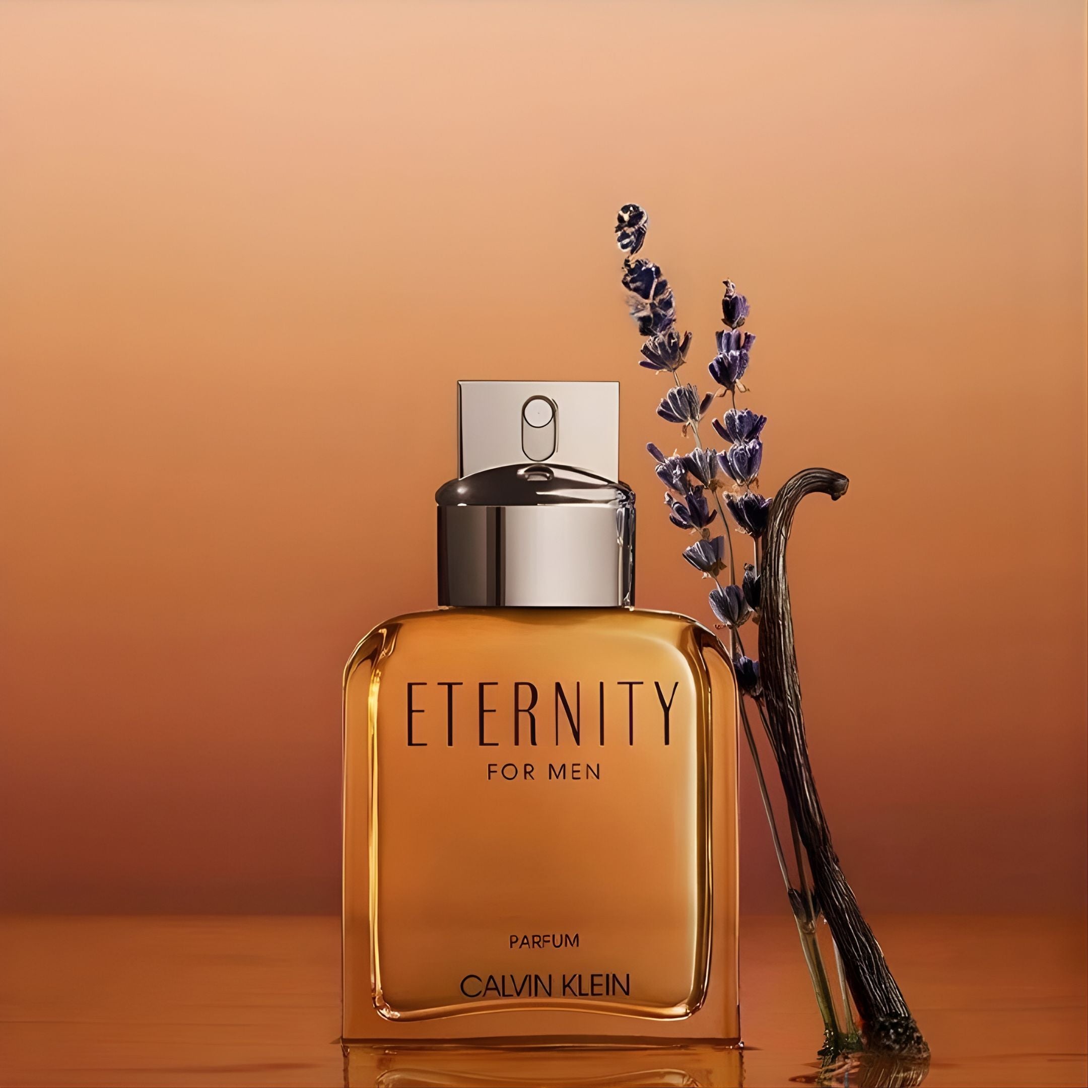 Calvin Klein Eternity Men Parfum 100 ML