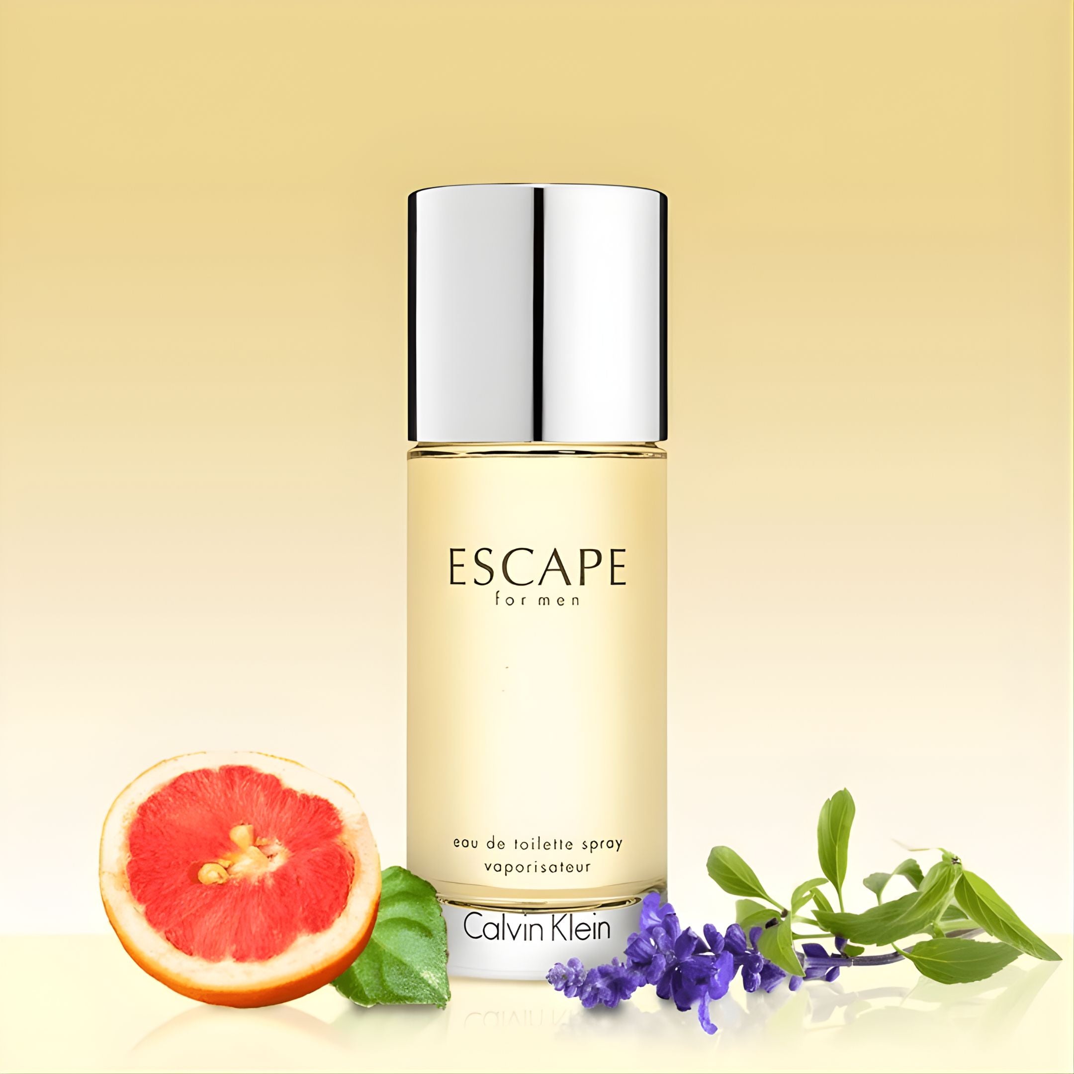 Calvin Klein Escape EDT 100 ML for Men