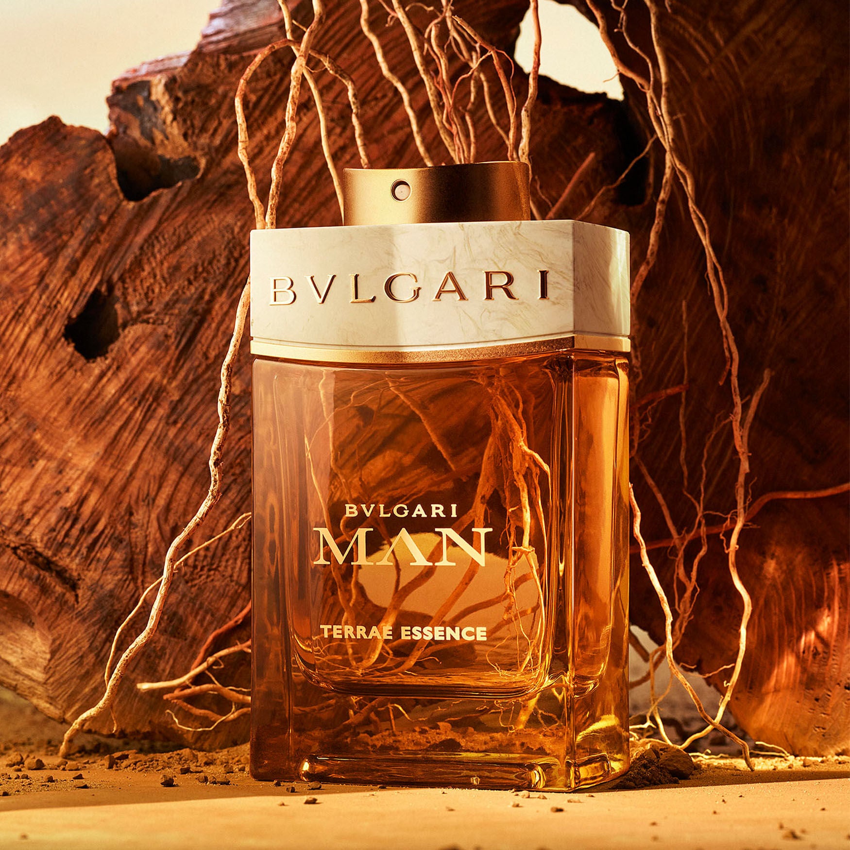 Bvlgari Man Terrae Essence 100ML