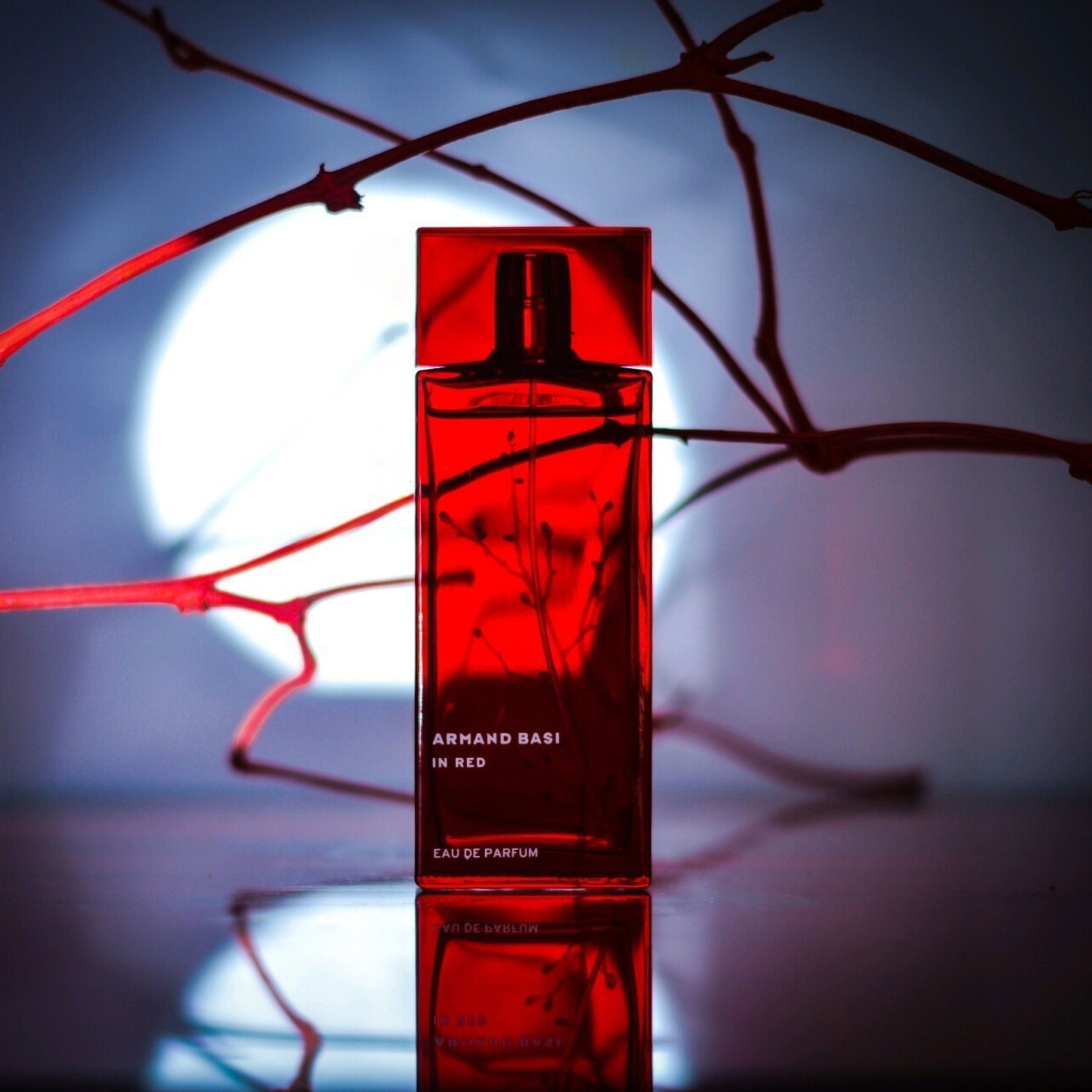 Armand Basi in Red Edt 100ML