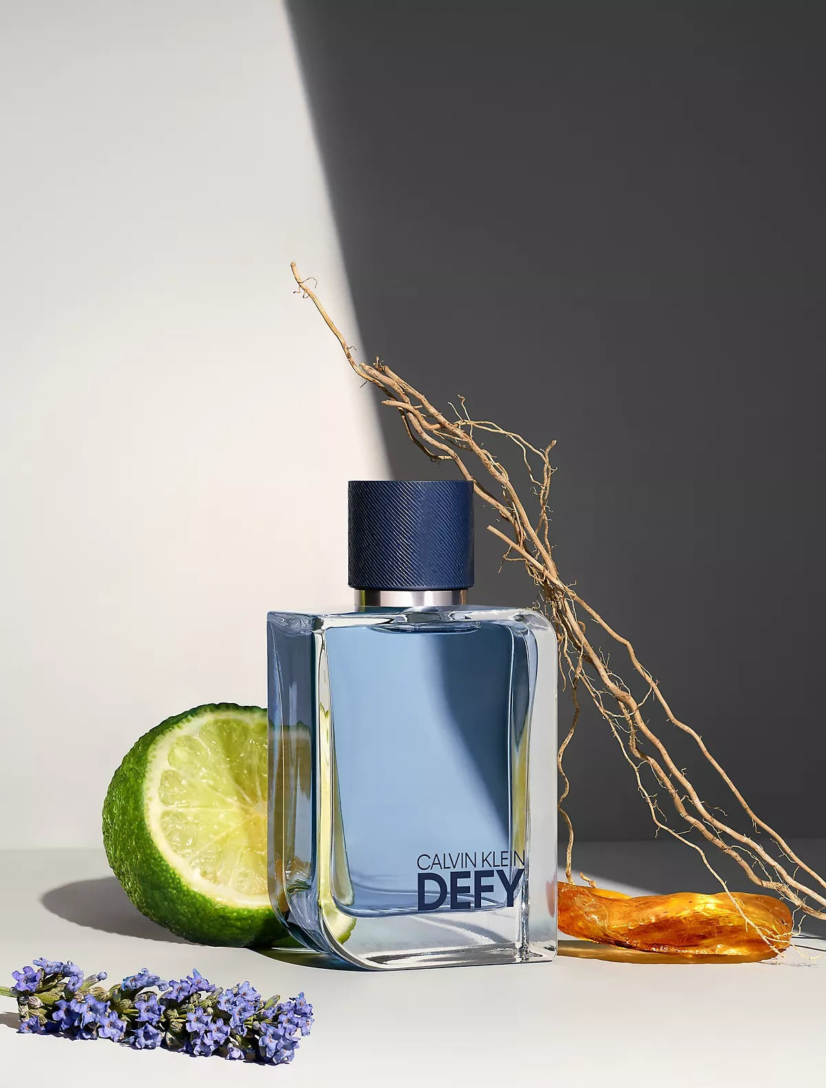 Calvin Klein Defy EDT 100 ML