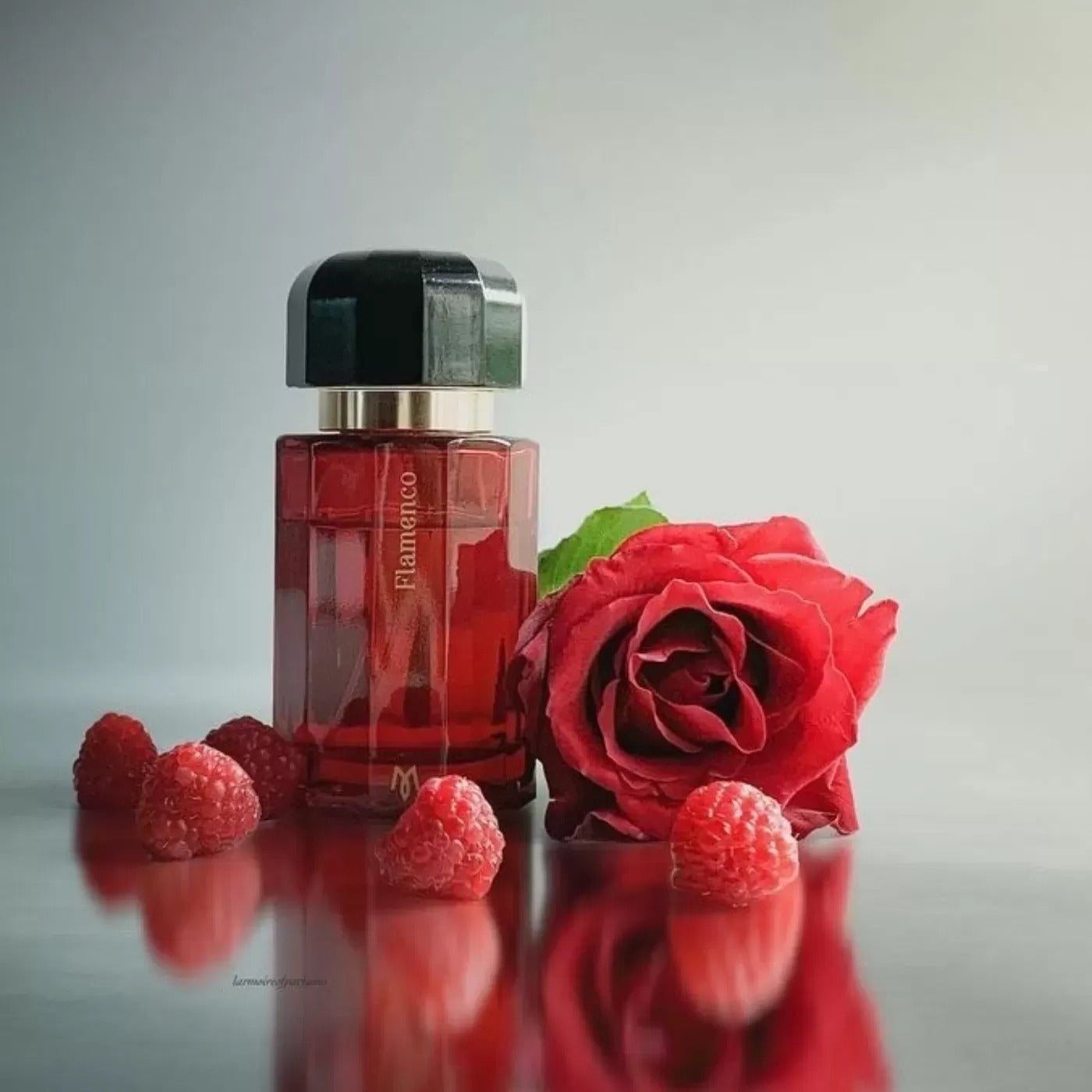 Flamenco Ramon Monegal EDP 100 ML